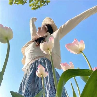 蝙蝠侠：漫长的万圣节