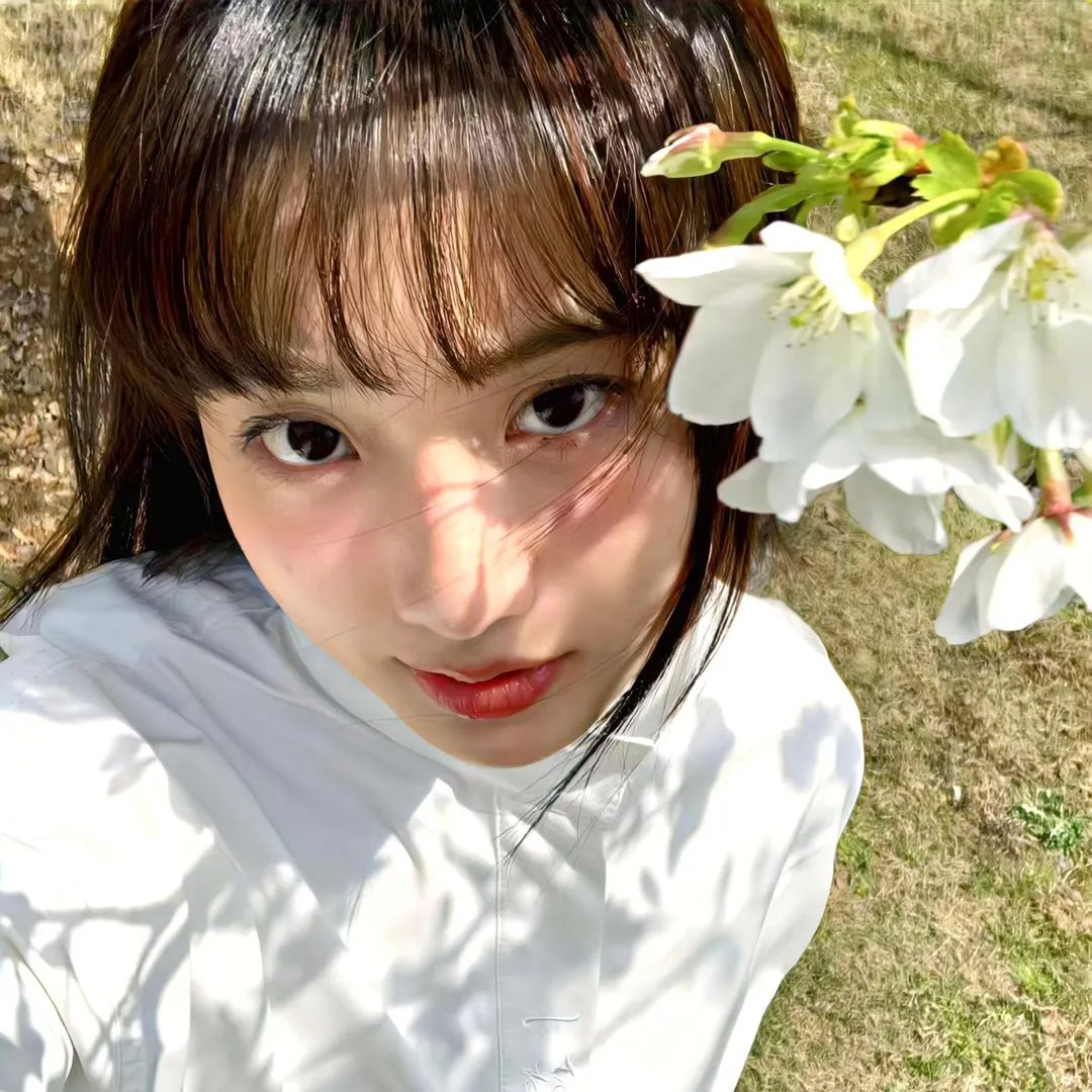 鹰笛·雪莲