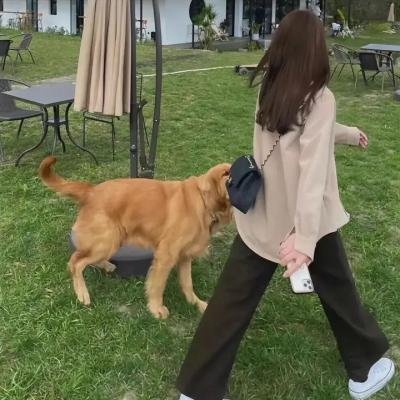 感恩节